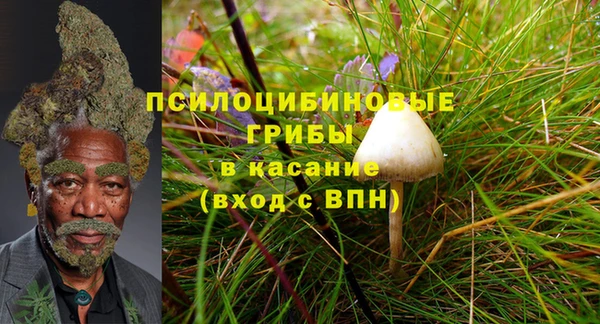 мдма Горнозаводск