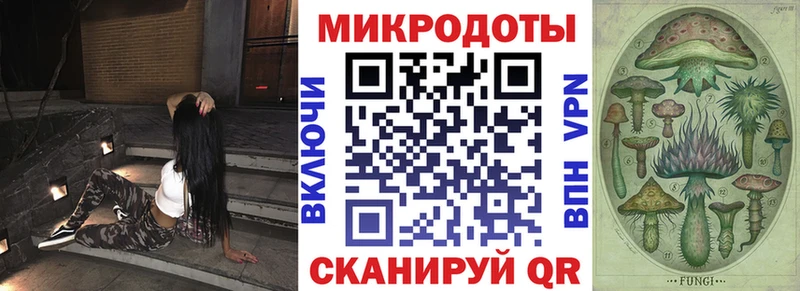 Купить где  Псков  Псилоцибиновые грибы Psilocybine cubensis 